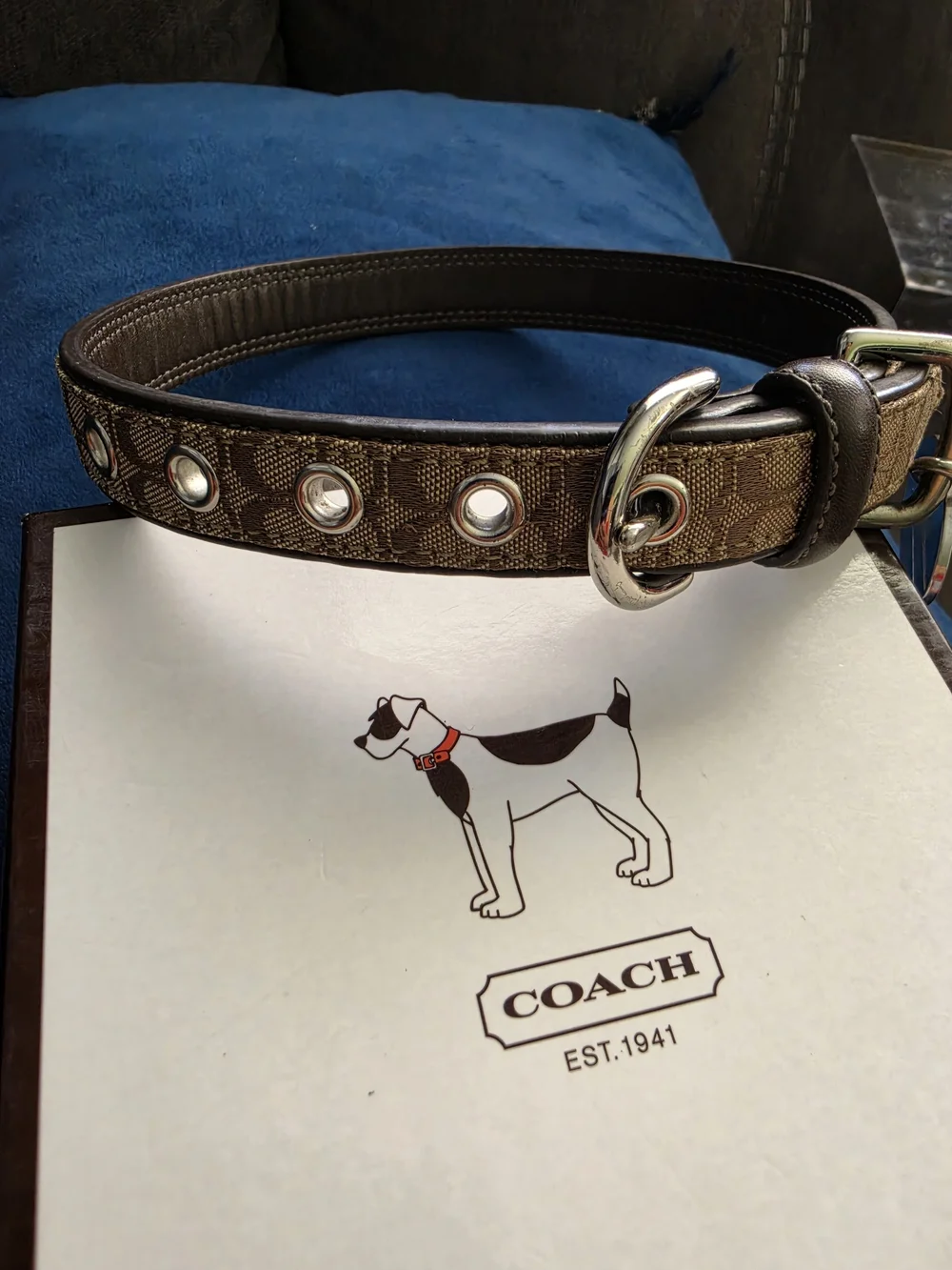 Coach Brown Signature Canvas Belt with Silver-Tone Hardware